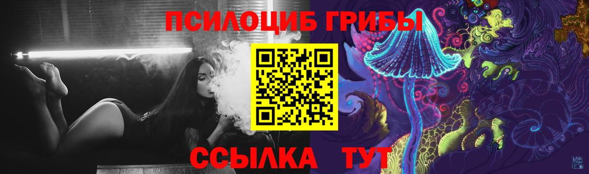 Псилоцибиновые грибы Psilocybine cubensis  Вход с VPN  Ялта 